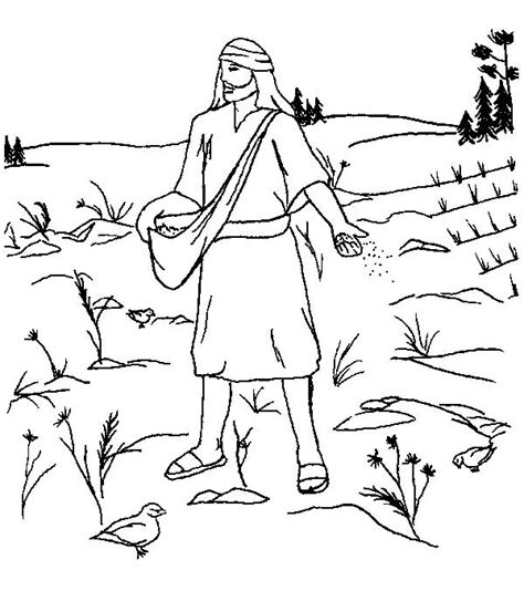 32 Parable Of The Mustard Seed Coloring Pages