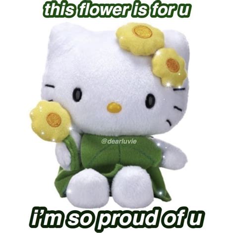 Pin By 𝒟ℴ𝓊𝒶𝒶 ℬ𝓇𝒾𝓉ℯ𝓁 On Wholesome Memes And Reactions Kitty Hello Kitty Toys Hello Kitty