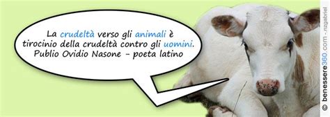 Esempio dieta vegana da 1200 kcal: Dieta vegetariana: esempio di menù equilibrato, benefici ...