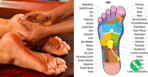 Give Yourself This Simple Foot Massage To Melt Away Feelings Of Pain Stress And Anxiety Overnight