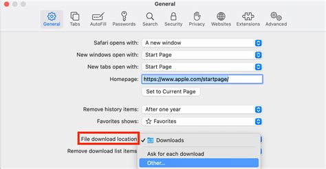 Where To Find Downloaded Files In Safari On A Mac And How To Manage Them