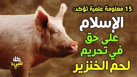 لماذا حرم لحم الخنزير على المسلمين قالب الكهرباء