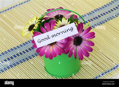 Good Morning Card With Colorful Daisies Stock Photo Alamy