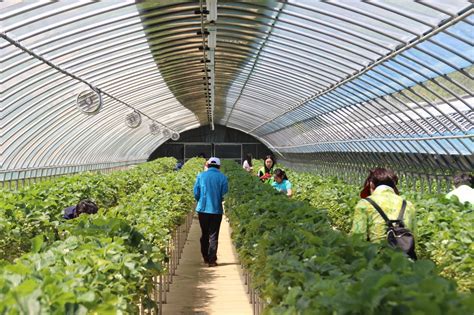 Korean Farming Experience Tours One Day Harvest Programs In Daegu