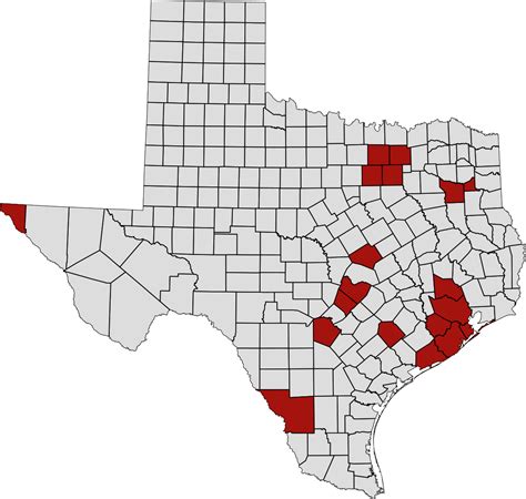 With covid cases and hospitalizations falling in. Texas COVID-19: Spreading Across North Texas; Ellis County ...