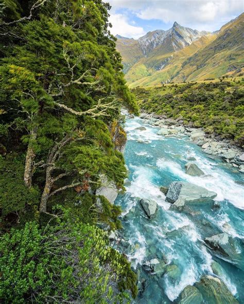 Ever Walked Through A Rainforest On Your Way To A Glacier New Zealand