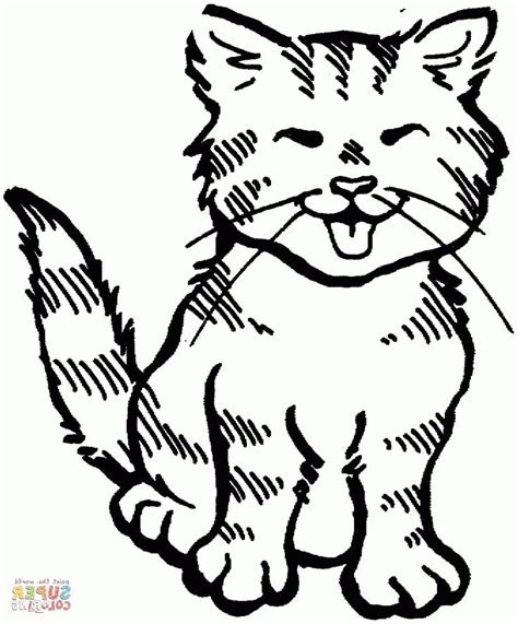 Download all the pages and create your own coloring book! Kitty Cat Coloring Pages