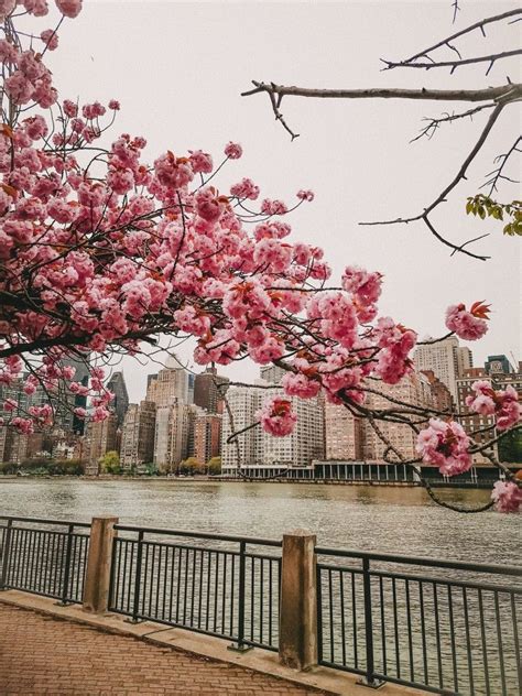 Spring In New York 🌸 Wallpaper In 2020 Spring In New York New York