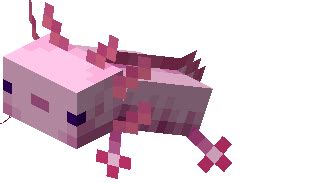 As part of the minecraft 1.17 caves & cliffs update, the they come in five different colors, but the blue ones are extremely rare. Minecraft Axolotls Guide: Snapshot 20w51a Update - The ...