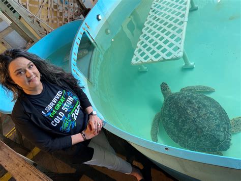 Texas Cold Stun Of 2021 Was Largest Sea Turtle Rescue In History
