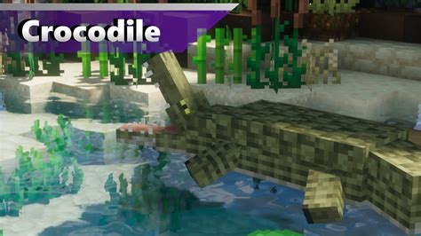 Crocodile Lake Alexs Mobs Zoo Minecraft 1165 Zoo Youtube