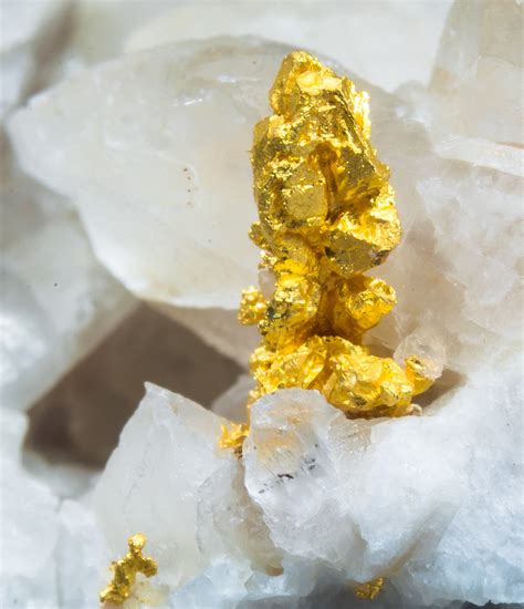 Gold On Calcite Aouint Ighoman Assa Zag Province Guelmim Oued Noun
