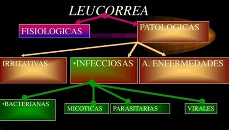 Leucorrea Qué es síntomas causas y tratamiento de la leucorrea