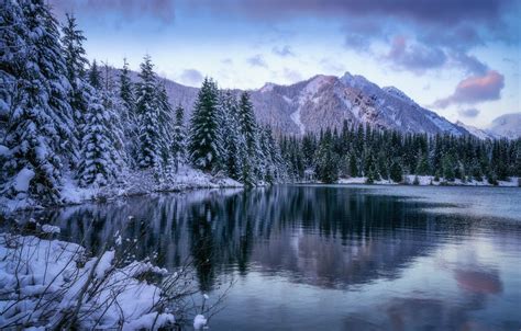 Wallpaper Winter Forest Snow Landscape Mountains Nature Lake