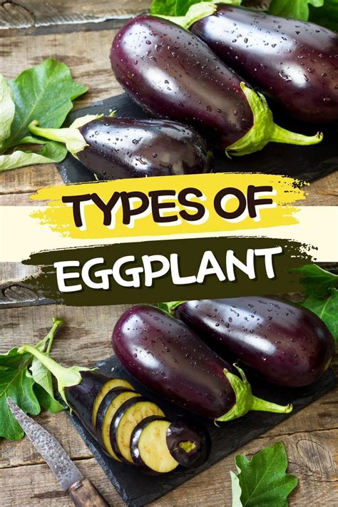 10 Types Of Eggplant Different Varieties Insanely Good