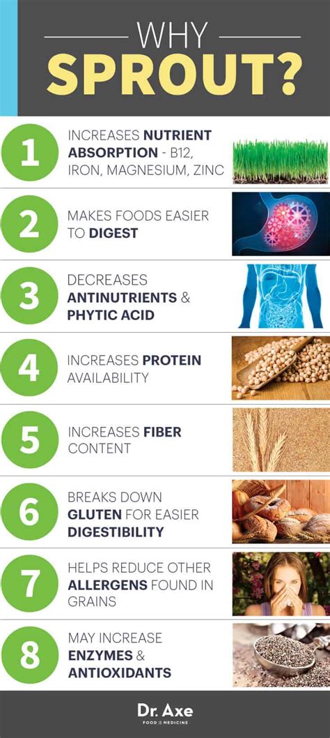 Are Grains Bad For You Is Gluten Healthy And What About Legumes