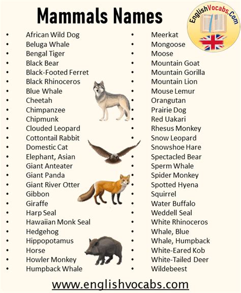 150 Mammals Names List English Vocabs
