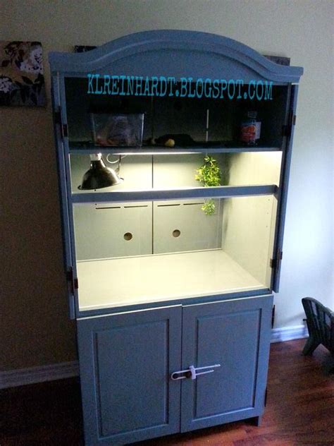 Maybe you would like to learn more about one of these? DIY Dragon House | Bearded dragon cage, Bearded dragon care, Bearded dragon