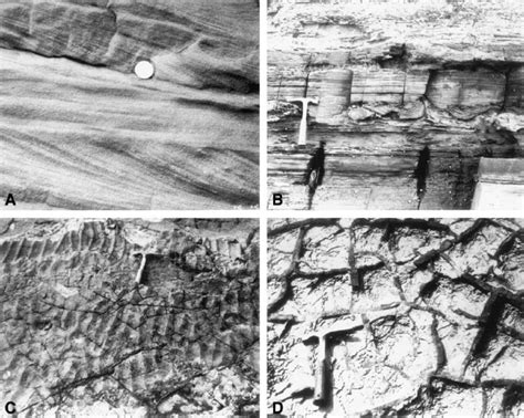 Sedimentary Structures Of The Jinju Formation A Cross Bedding