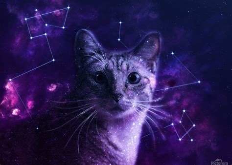 Cute Galaxy Cat Lemoboy Canvas
