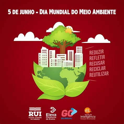 Artigo De Opinião Sobre Meio Ambiente