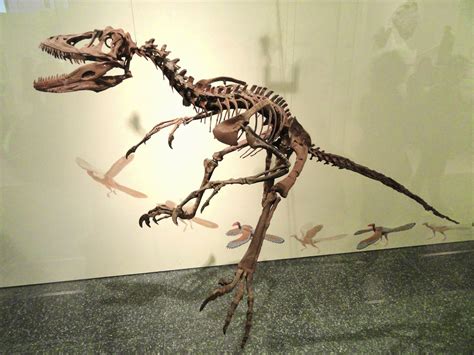 Prehistoric Beast Of The Week Deinonychus Beast Of The Week