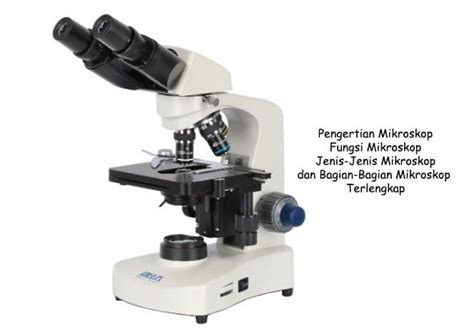 Mikroskop Pengertian Sejarah Fungsi Jenis Bagian Cara
