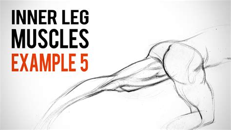 Proko Inner Leg Muscles Assignment Answer 5