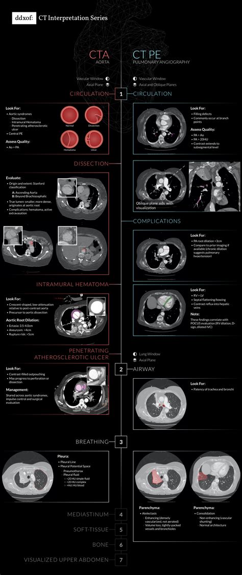 Differential Diagnosis Of Infographic Ct Chest