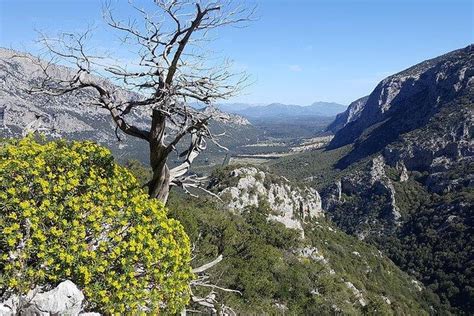 Monte Tiscali Hiking Day Trip From Orosei Sardinia
