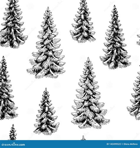 Fir Tree Spruce Graphic Black White Seamless Pattern Background Sketch