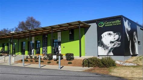 Greenville Humane Society earns perfect score, top rating in U.S.
