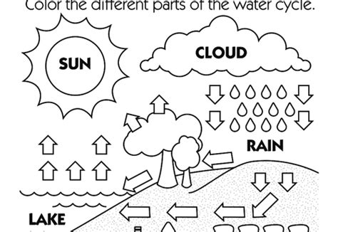 Water Cycle Coloring Page Sketch Coloring Page