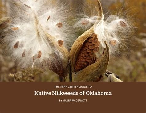 Native Milkweeds Of Oklahoma Kerr Center