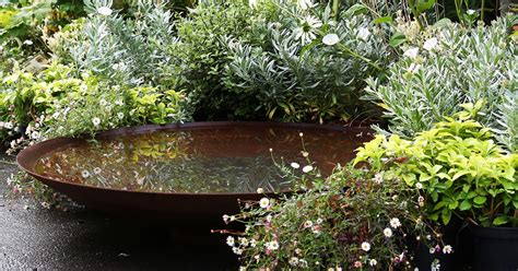Corten Steel Water Bowl Water Features In The Garden Herb Garden