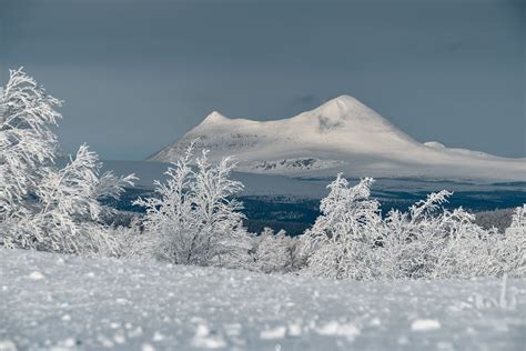 Several Weeks Of Heavy Snowfall Turned Norway Into A Winter Wonderland