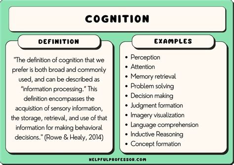 101 Cognition Examples 2024