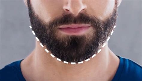 How To Trim And Shape A Beard Neckline Philips Norelco