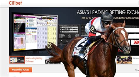 Horse Racing The Ultimate Trading Start Guide Cm2bet