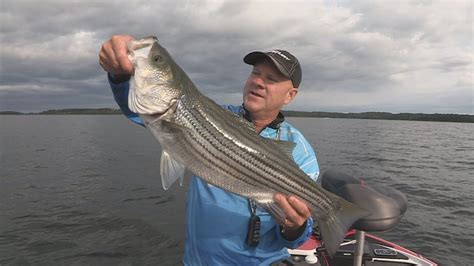 Wonderful december striped bass fishing day. Videos Main Page » Fox Sports Outdoors