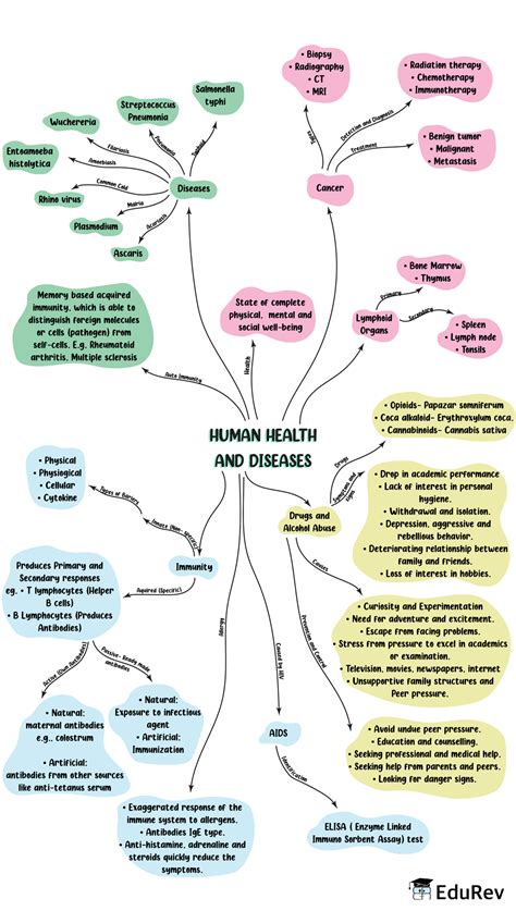 Disease Mind Map Editable Mind Map Template On Creately Gambaran