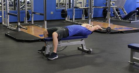 Overhead Ez Bar Triceps Extension Exercise Instructions