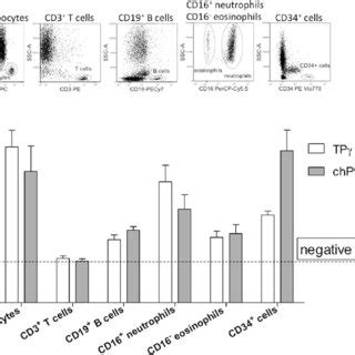 Claudio sorio associate professor of general pathology, university of verona verified email at univr.it. Karyotype 46, XY, t(9;22)(q34;q11) | Download Scientific ...