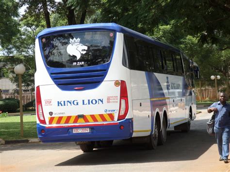 Gallery King Lion Coaches