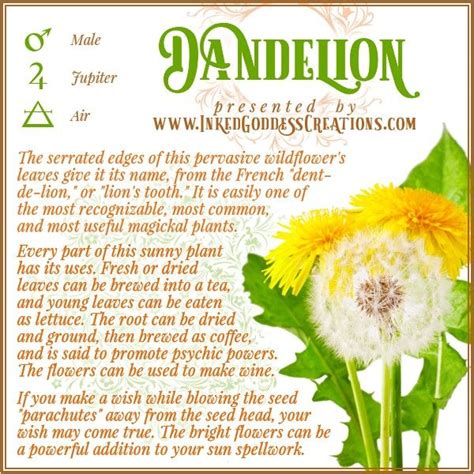 Dandelion Chemical