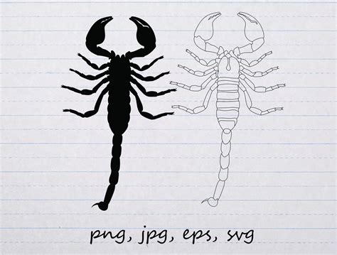 Scorpion Clipart Vector Graphic Svg Png Eps Bug Insect Etsy