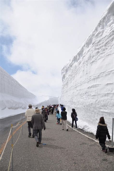 Tateyamas Snow Wall Walk 2020 Cancelled Apriljune