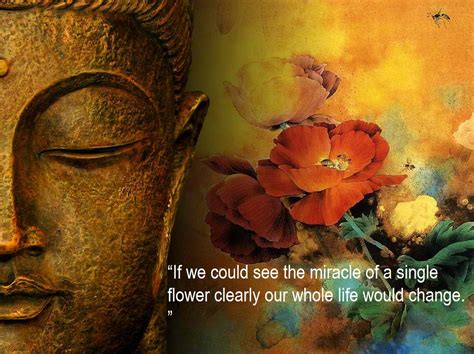 The way to happiness is: Buddha Quotes Online: Beautiful Buddha Quote Image : If we could see the miracle of a single ...