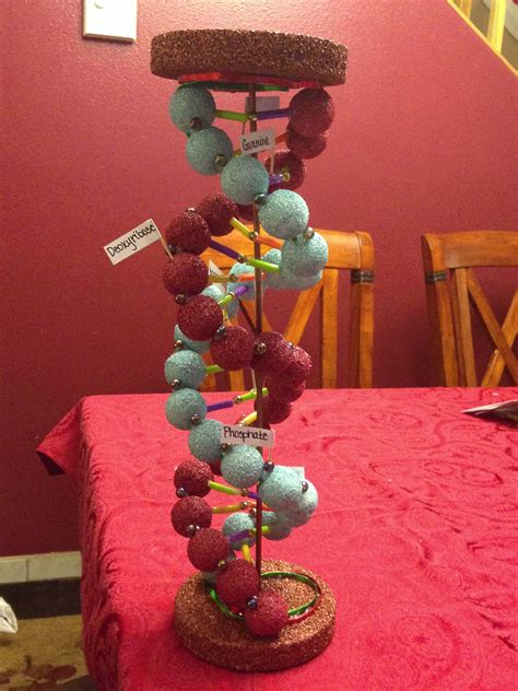 17 Awesome Easy 3d Dna Model Project