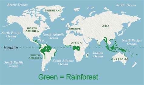 So is most of the amazon rainforest a tropical monsoon climate or another kind of climate? worlds tropical rainforest | The World's Tropical ...